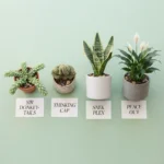 fun plant names
